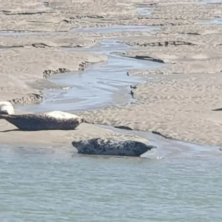 Le Galopin Le Touquet Lägenhet Étaples