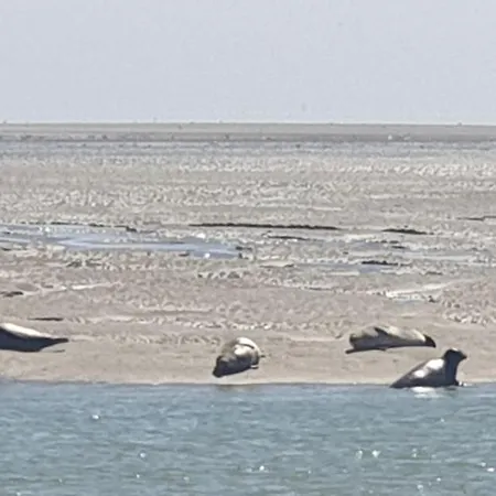 Apartamento Le Galopin Le Touquet